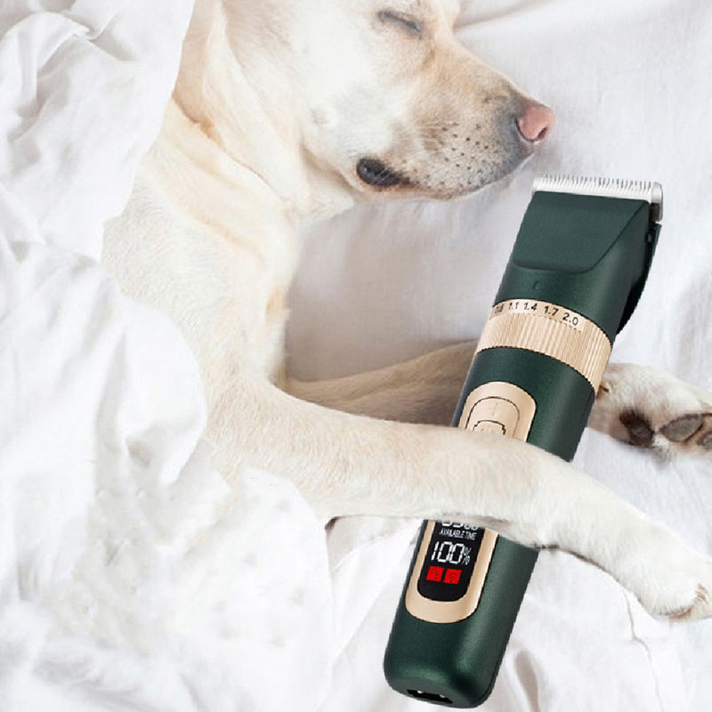 PET CARE
